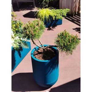 Bac à fleurs rond GRANIT TULIPE - Plastique Ø 50 cm - Bleu