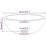 vidaXL Lavabo Verre trempé 30x12 cm Dépoli