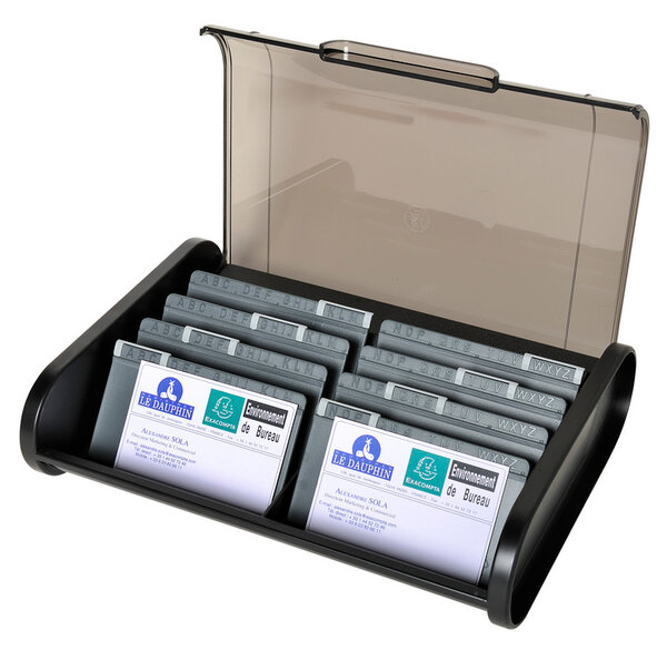 Fichier cartes visite ECOBlack noir/gris souris EXACOMPTA