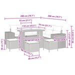 Ensemble de canapé de jardin 9 pièces avec coussins gris poly rattan acacia