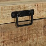 vidaXL Coffres de rangement 60x30x30cm en bois de manguier massif et métal