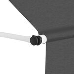 vidaXL Auvent manuel rétractable 300 cm Anthracite