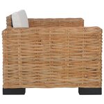vidaXL Ensemble de canapés 2 Pièces avec coussins Rotin naturel
