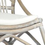 vidaXL Chaise en rotin Gris Lin