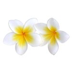 Parfum pour savon 162 ml - Monoï