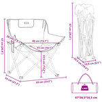 vidaXL Chaise de camping avec poche pliable lot de 2 vert