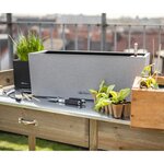 LECHUZA Jardinière BALCONERA Stone 50 ALL-IN-ONE Gris