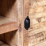 vidaXL Meuble TV Bois de manguier massif 120x30x50 cm