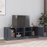 vidaXL Meubles TV 2 Pièces anthracite 67x39x44 cm acier