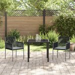 vidaXL Ensemble de repas de jardin 3 pièces avec coussins Noir Poly Rattan