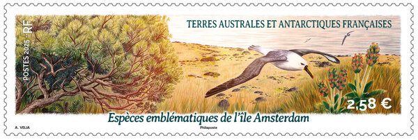 Timbre TAAF - Espèces emblématiques de l'île Amsterdam