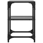 vidaXL Tables basses avec dessus en verre noir 2 Pièces 30x30x45 cm acier