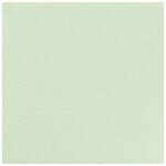 Rouleau papier kraft 3x0.70m vert bourgeon clairefontaine