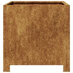 vidaXL Jardinière 40x40x40 cm acier corten