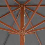 vidaXL Parasol d'extérieur avec mât en bois 300 cm anthracite