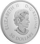 Pièce de monnaie en Argent 50 Dollars g 157.6 Millésime 2021 GREAT LAKES TRIBUTE