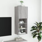 vidaXL Meuble TV avec lumières LED sonoma gris 40 5x30x102 cm