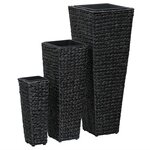 vidaXL Lits surélevés 3 Pièces Jacinthe d'eau Noir
