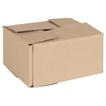 vidaXL Boîte Pliable 50 Pièces 20x15x10 cm Carton