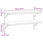 vidaXL Étagères murales 2 Pièces 100x40 cm argenté acier inoxydable