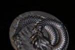 SCALED DRAGON 9 Dragons Series Winter Version 5 Once Argent Monnaie 18888 Francs Chad 2024