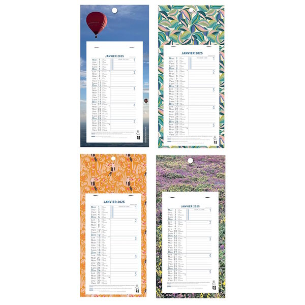 Calendrier Bloc Mensuel Mural 2025 - 16x33cm - Thème Fleurs - Modèle aléatoire*