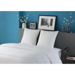 2 oreillers tendance 60 x 60 cm - Garnissage 100  Polyester fibre creuse siliconée - Blanc