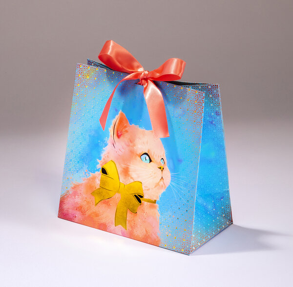 Sac cadeau chaton pmcl 18 x h 18 chat