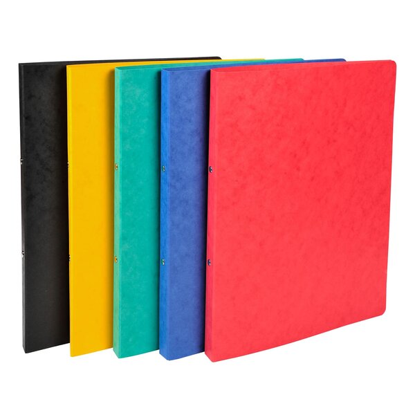 Classeur 2 Anneaux 15mm Carte Lustrée - A4 - Couleurs Assorties - X 20 - Exacompta