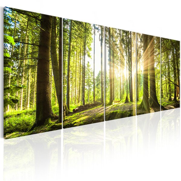 Tableau - sunlight l x h en cm 225x90