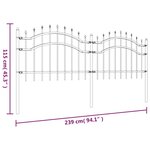 vidaXL Clôture de jardin avec sommet de lance Noir 115 cm