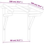 vidaXL Auvent de porte 100x100x80 cm Bois de pin massif imprégné