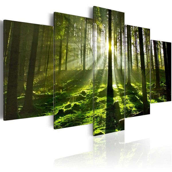 Tableau - peace of mind l x h en cm 100x50