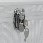 vidaXL Boîtes de rangement 2 Pièces Argenté Aluminium