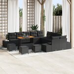 Set de Canapés de Jardin 14 Pièces avec Coussins en Poly Rattan Noir Acacia