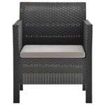 vidaXL Salon de jardin 2 Pièces avec coussins PP Rotin Anthracite
