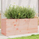 vidaXL Jardinière 110x40x45 5 cm bois massif de douglas