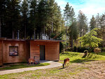 SMARTBOX - Coffret Cadeau Séjour en famille à Center Parcs -  Séjour
