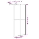 vidaXL Écran de douche 80x195 cm Verre trempé foncé