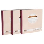 Lot De 3 Manifolds Livraisons - Papier Autocopiant - Triplicata (1 Original Et 2 Copies) - 50feuilles - Format 21 X 21 Cm - Couverture Vernie - Avoine - Le Dauphin