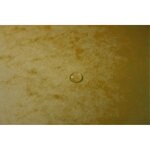 Boite De Classement Exabox Dos 25mm Carte Lustrée - A4 - Jaune - X 8 - Exacompta