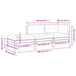 vidaXL Canapé de jardin avec coussins et repose-pied 2 places