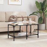 vidaXL Table basse avec dessus en verre noir 78 5x40x40 cm acier