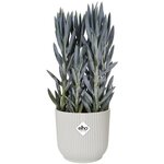 Vibes Fold Pot de fleurs rond 30 - Blanc Ø 30 x 27 cm