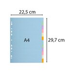 Intercalaires Carte Pastel 170g Forever 12 Positions - A4 - Couleurs Assorties - X 25 - Exacompta