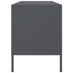 vidaXL Meuble TV anthracite 100 5x39x50 5 cm acier