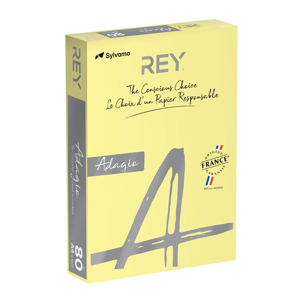Ramette papier couleur A4 Papyrus Adagio 80g 500 feuilles couleur canari