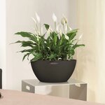 LECHUZA Jardinière CUBETO Stone 40 ALL-IN-ONE noir graphite 13842