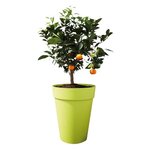 Loft Urban Pot de fleurs rond Haut 35 - Gris Ø 34 x 45 cm