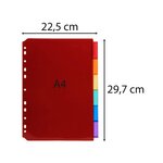 Intercalaires Pp Transparent Couleurs Avec Porte Étiquette A4 6 Positions - Couleurs Assorties - X 10 - Exacompta